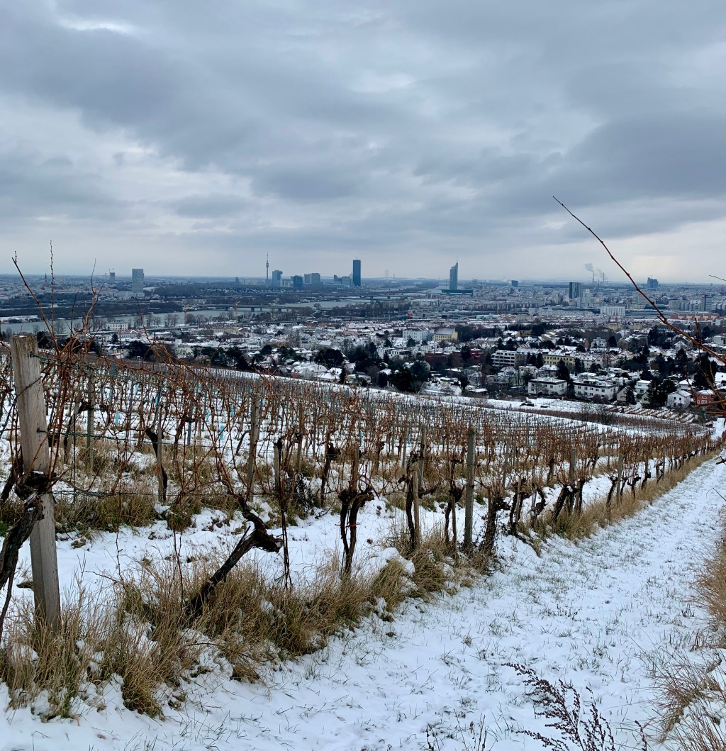 Bauingenieur Michael Demanega Immobilien Statiker Südtirol