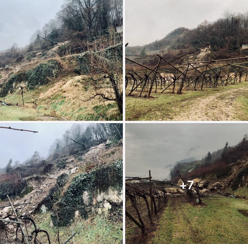 Naturgefahren in den Alpen - Salurn Südtirol Gefahrenzonen Bauen