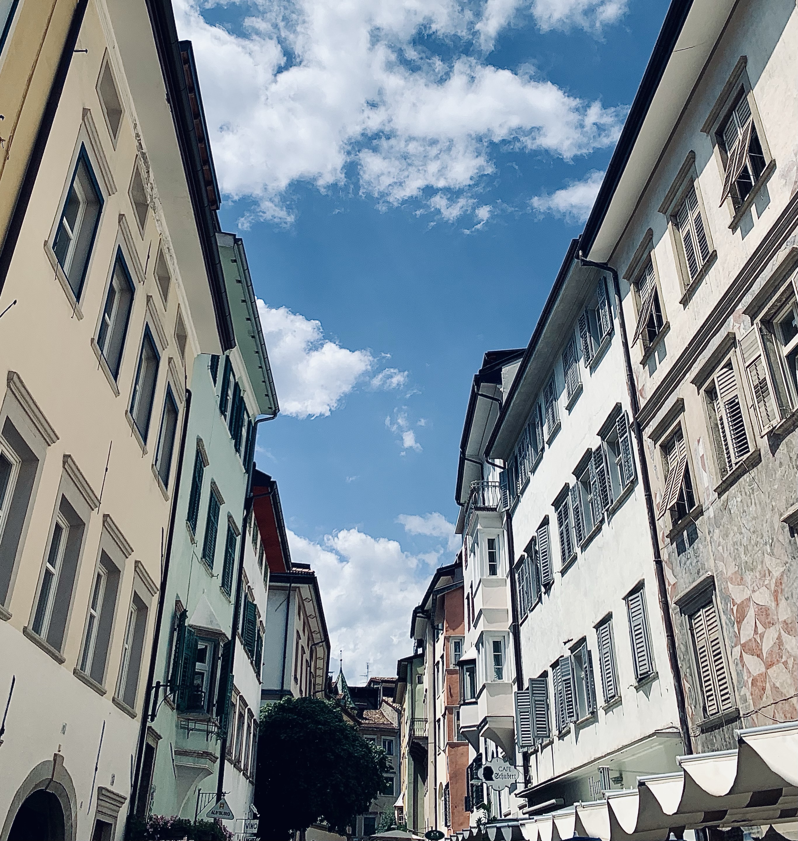 Immobilien Immobilienprojekte Projektentwicklung Real estate project developing Bauingenieur Michael Demanega