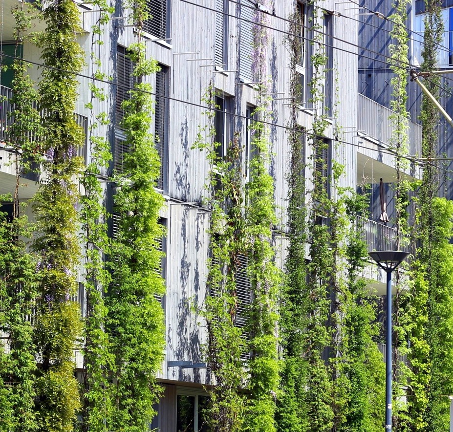 Erdwärme, Wärmepumpe und Photovoltaik:&nbsp;Anergie