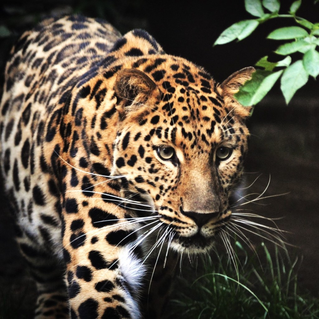 Aggressive und kooperative Verhandlungsstrategien