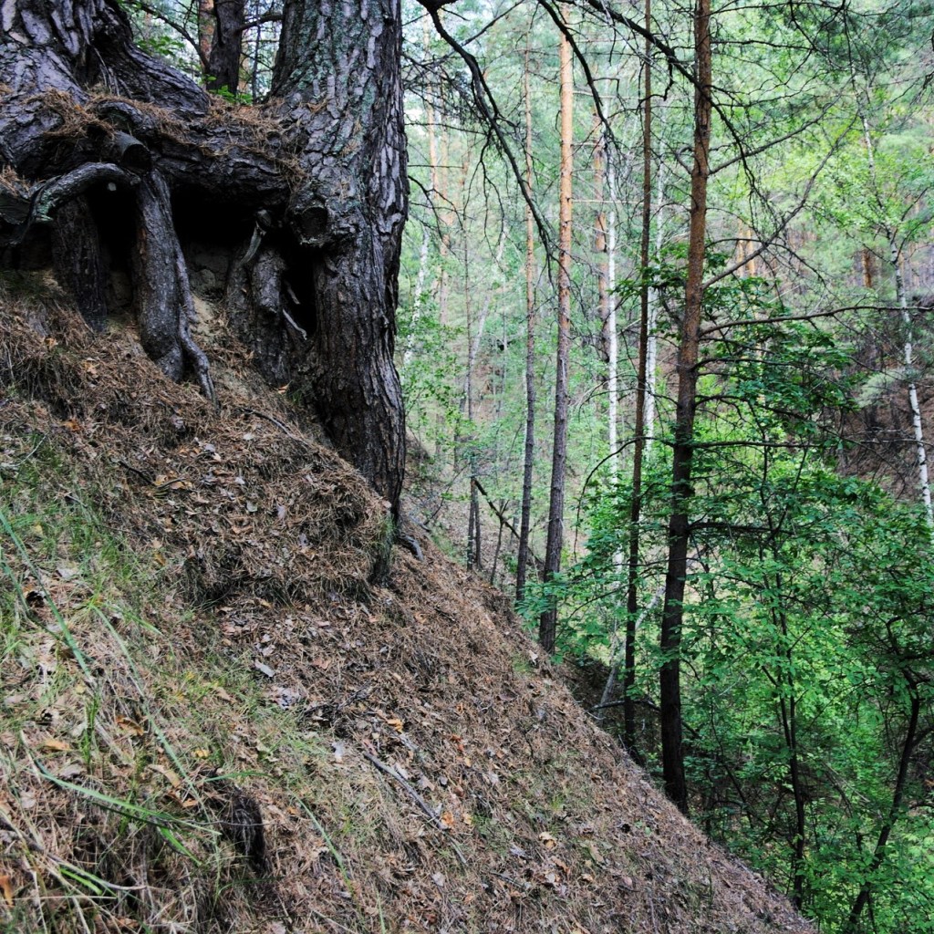 Die geotechnische Standsicherheit von Böschungen