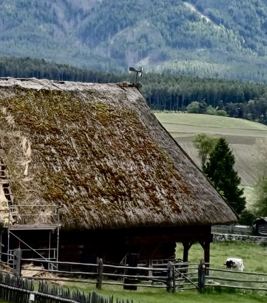 Strohdächer in Südtirol: Denkmal und Konstruktion