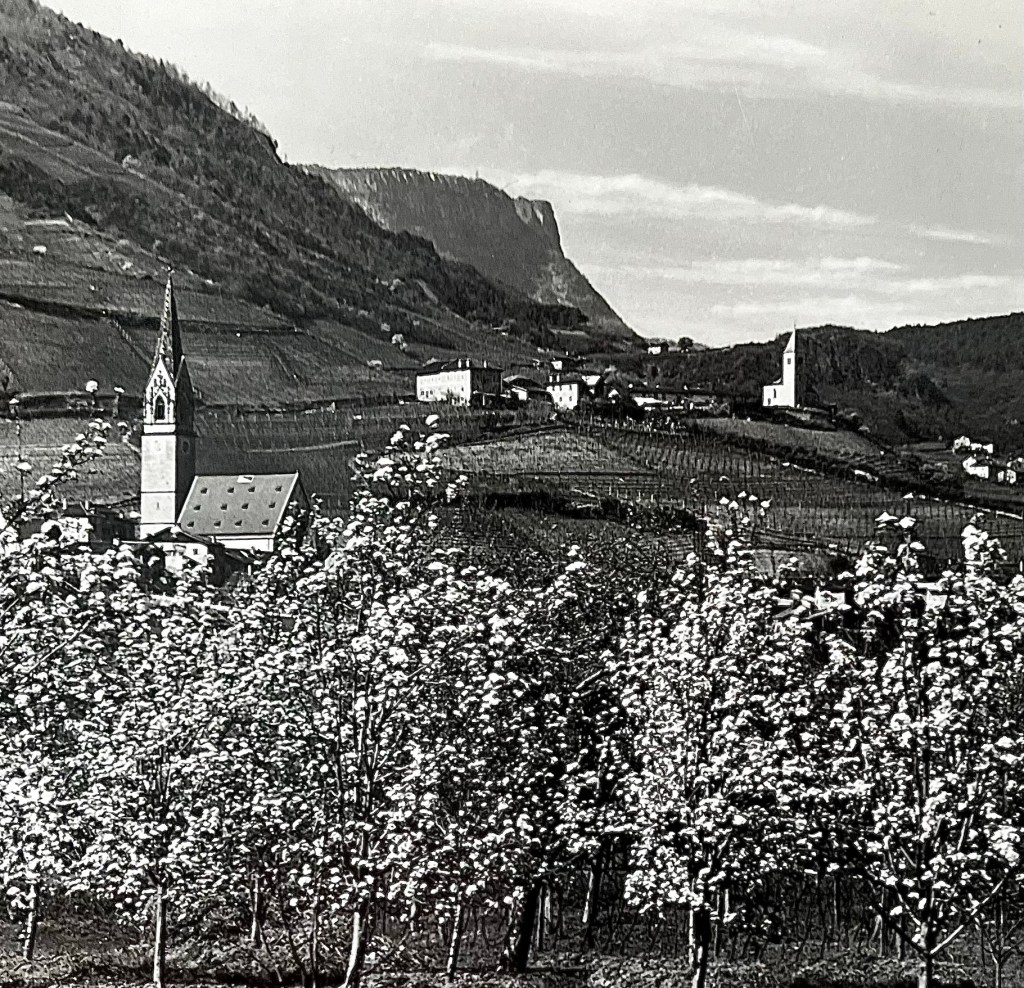 Die Traminer, „ein hitziges&nbsp;Völklein“